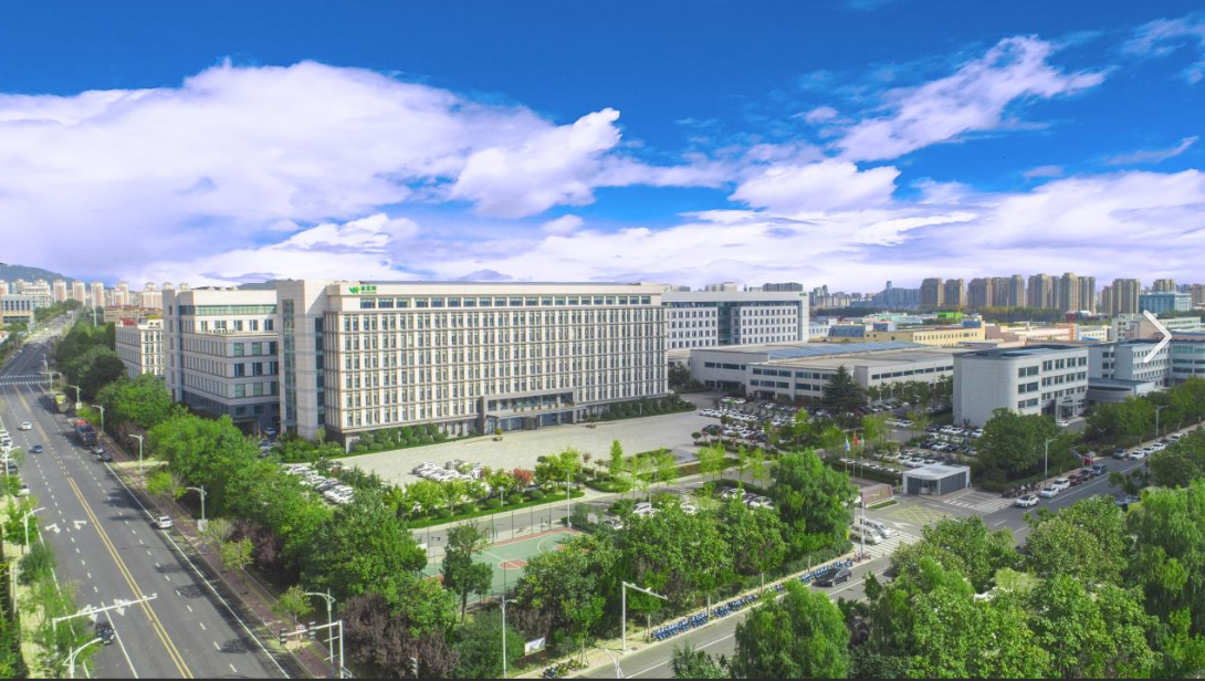 烟台东方威思顿电气有限公司