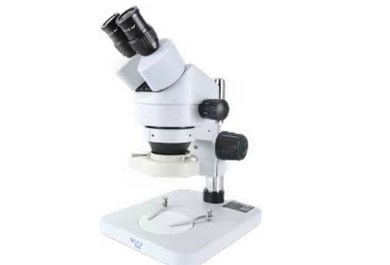 体视显微镜 Image