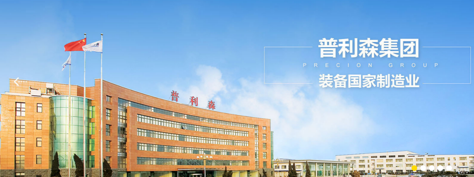 山东普利森集团有限公司