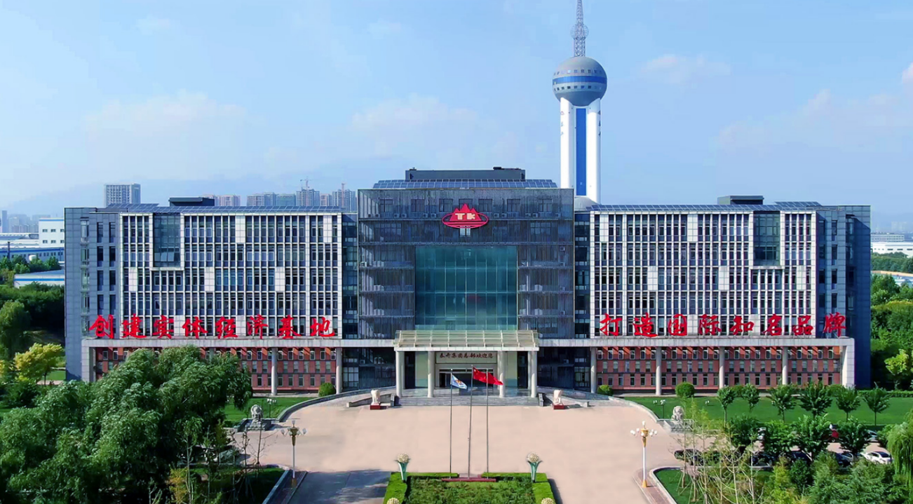 泰开集团有限公司