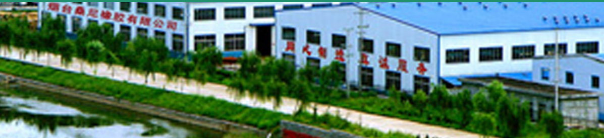 烟台桑尼橡胶有限公司