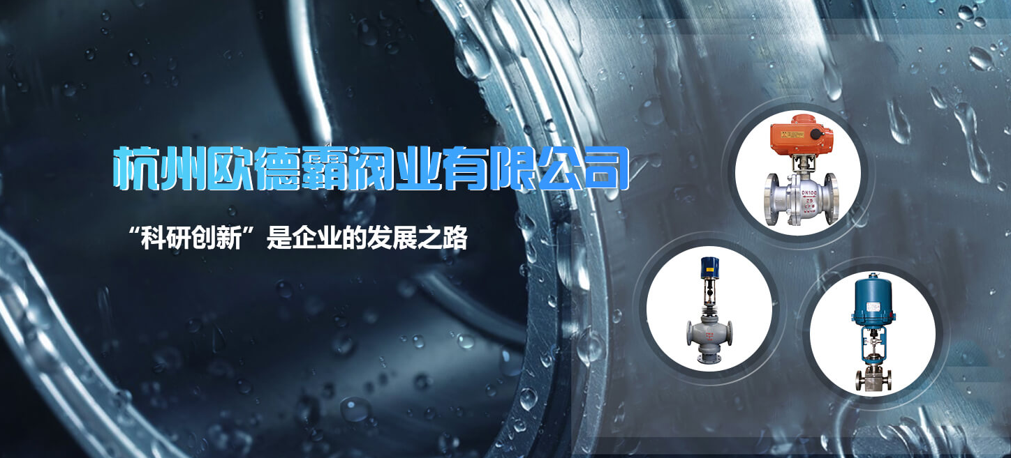 杭州欧德霸阀业有限公司